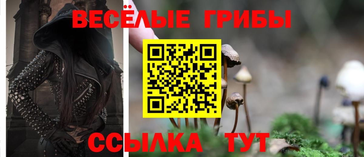 Баксан  Галлюциногенные грибы Psilocybine cubensis  Вход с VPN  Галлюциногенные грибы GOLDEN TEACHER 