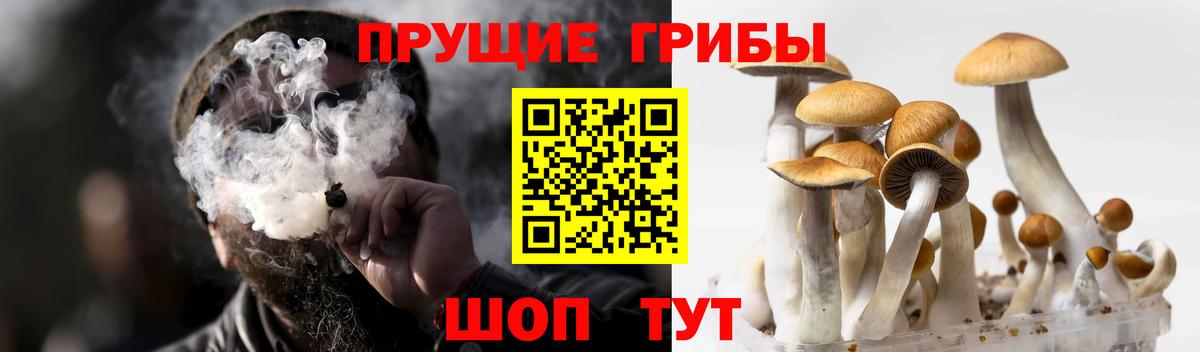 Псилоцибиновые грибы Magic Shrooms Баксан